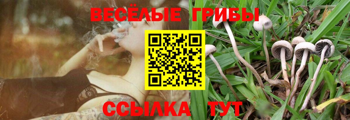 Полевской  Галлюциногенные грибы MAGIC MUSHROOMS  Вход с VPN 