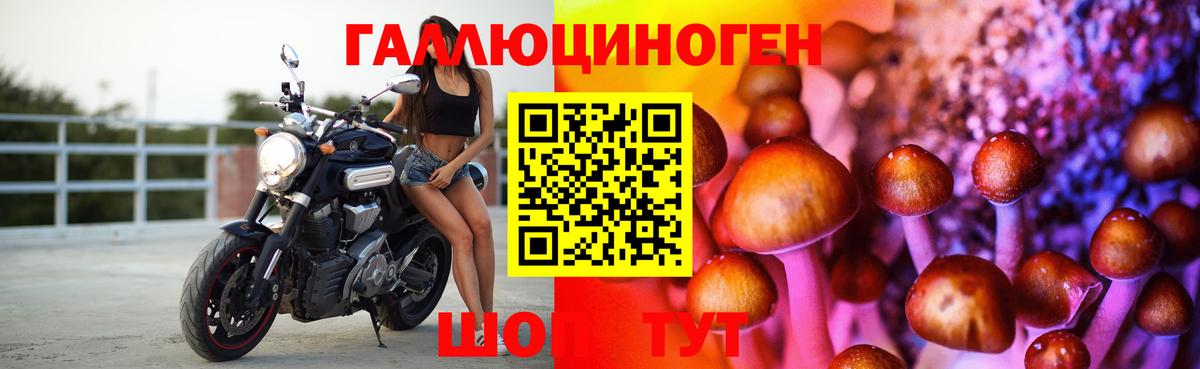 Галлюциногенные грибы мицелий Полевской
